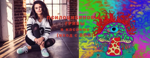 молекула духа Алексин