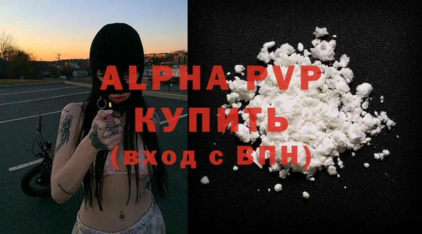 молекула духа Алексин